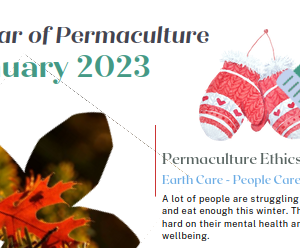 A Year of Permaculture - Jan 2023